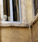 Roma ,Maggio,2015