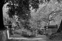 Rome, Jardin Botanique, Mars 2017