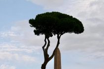 Roma,Ottobre,2008